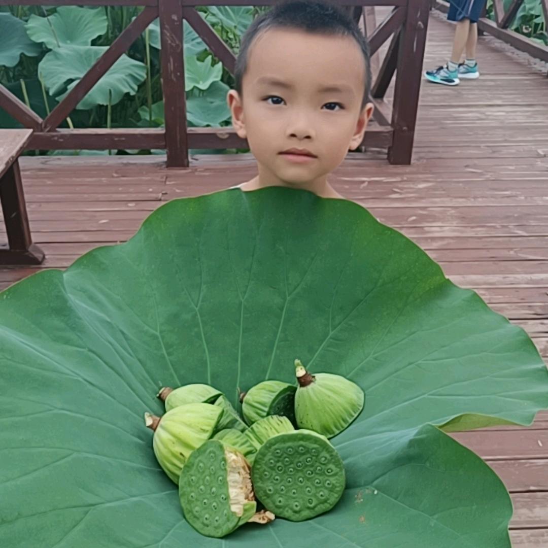 🌈*🌈周末去钓鱼🎣🎣🎣🎣🎣