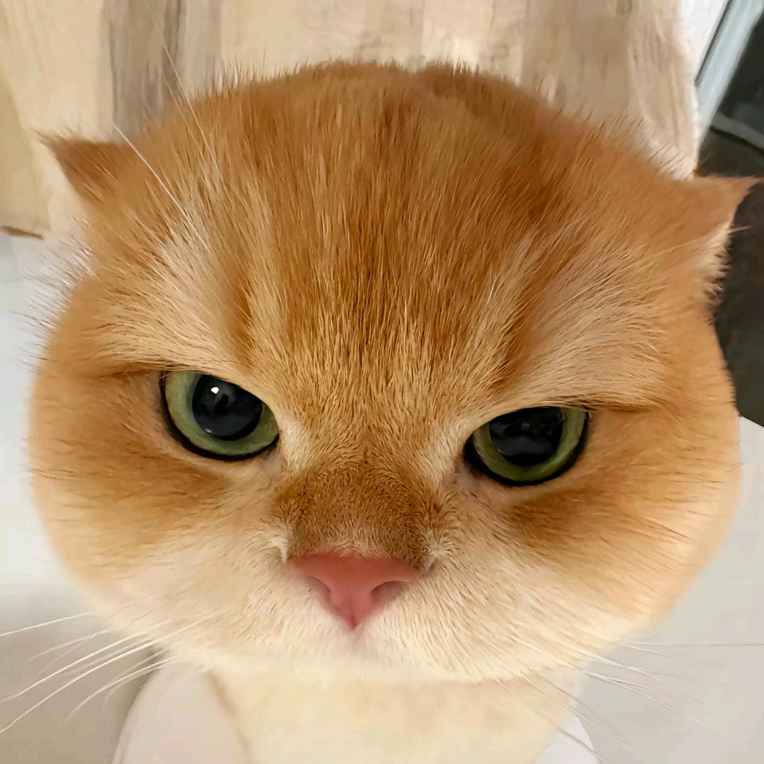 同花顺A