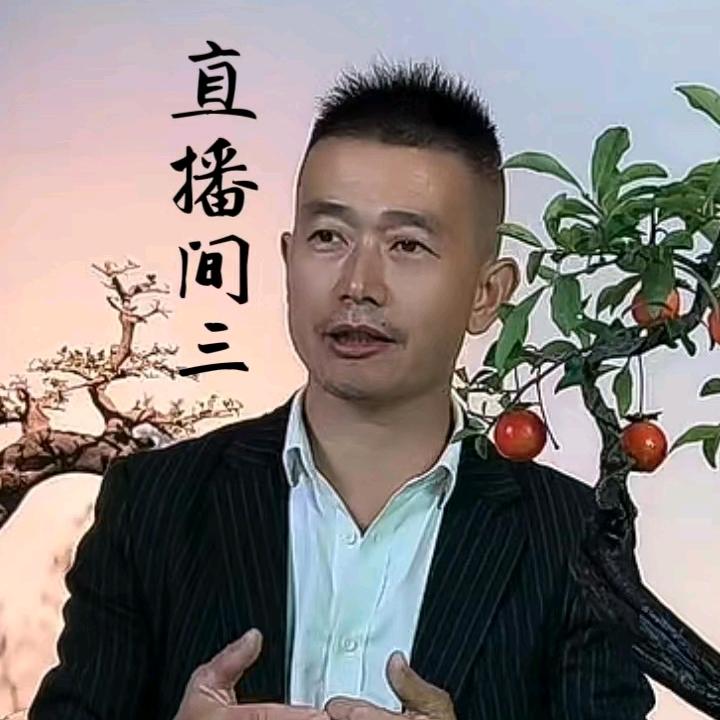 小马哥盆景集散中心