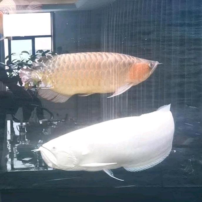 贵州五花八门