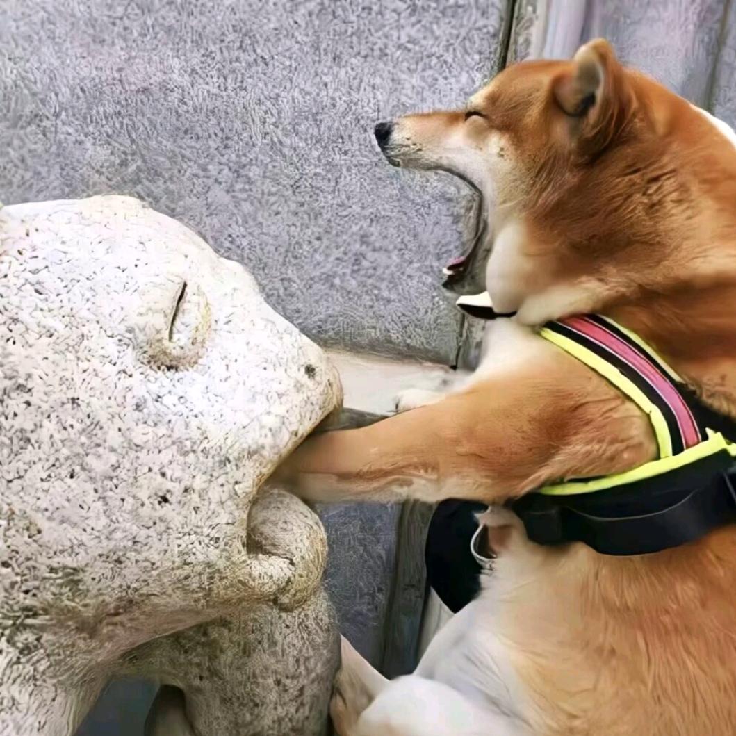 洗澡搓不到后背