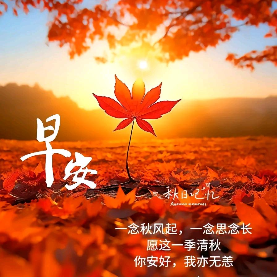 面对现实