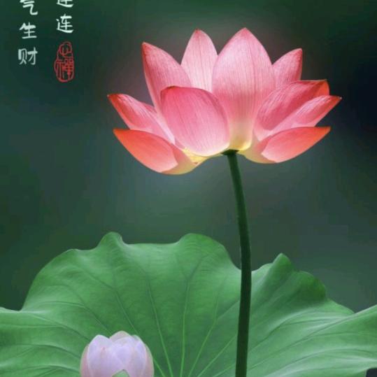 @美丽人生