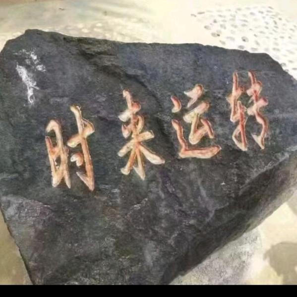 漂泊的人