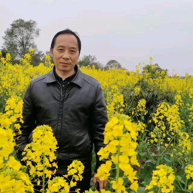 七个孩子的爸