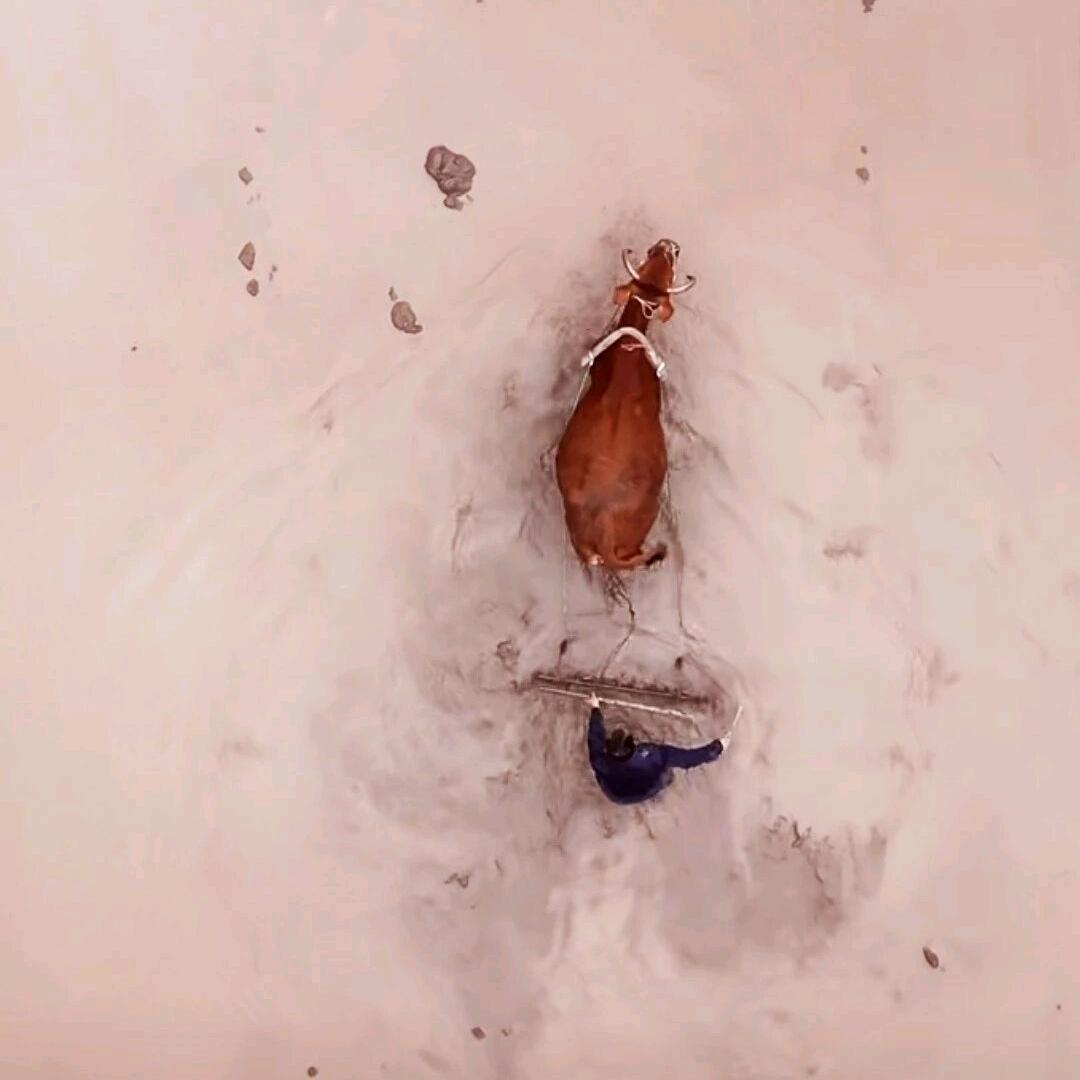 我在ICU是经历过生死的！