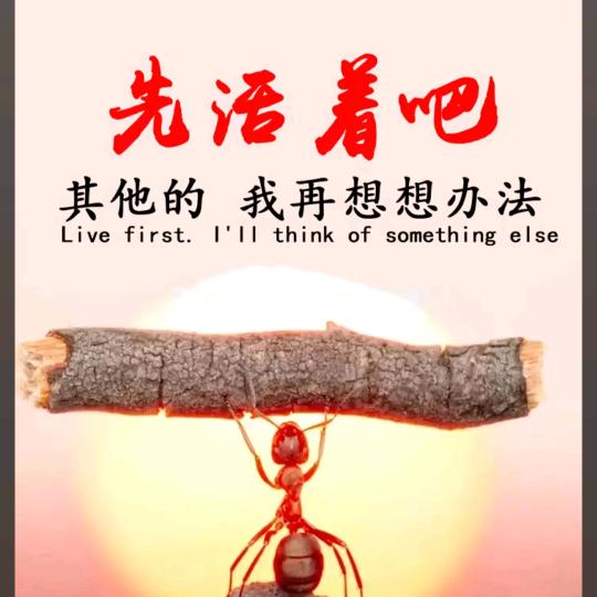 从新来过从零开始