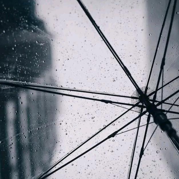 二傻子也能重名