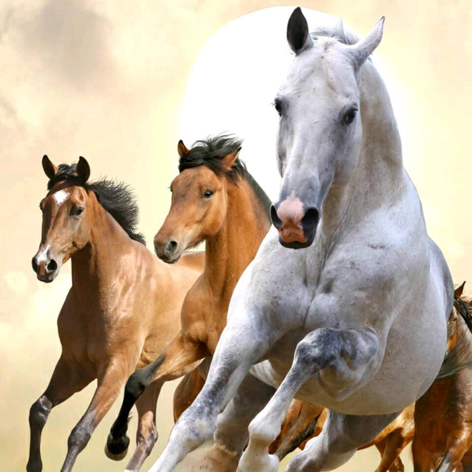 手拉手，心连心