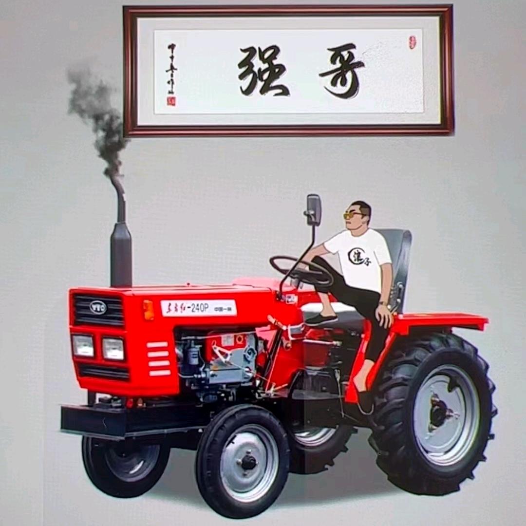 做烧烤的强哥