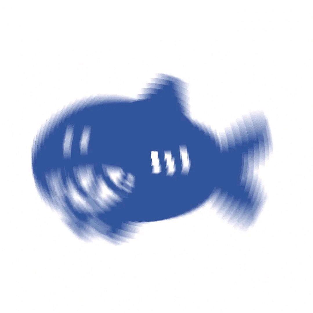 阿鱼鸭