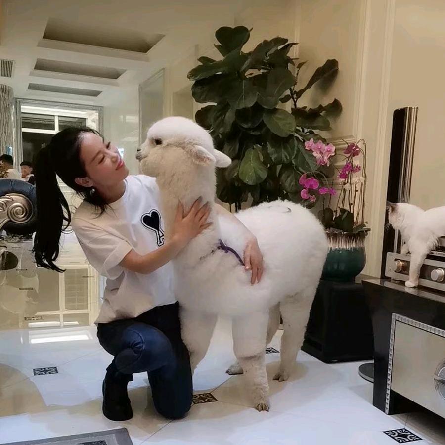 四季鲜果·邻途仓储(海德佳园店)专用号