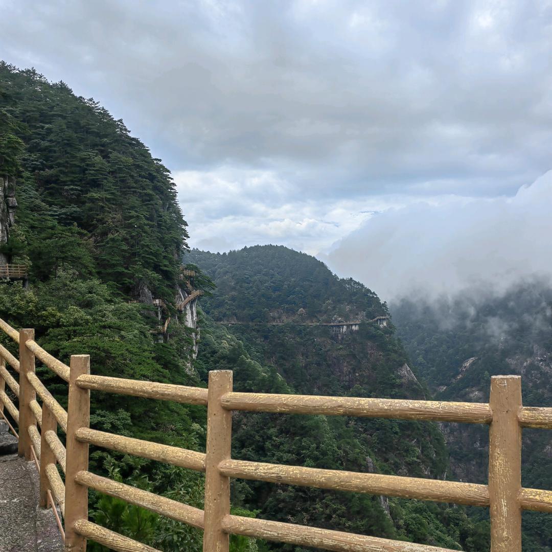 无极昼锦