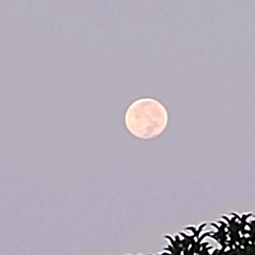 圆中圆