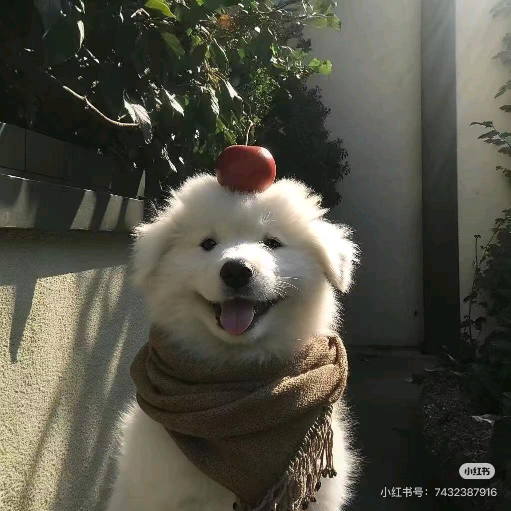 过夜柠檬水