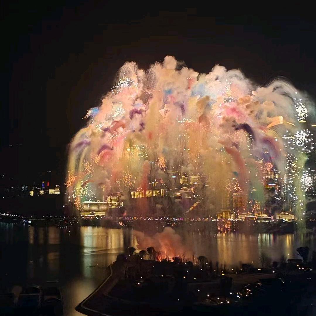 花开富贵④