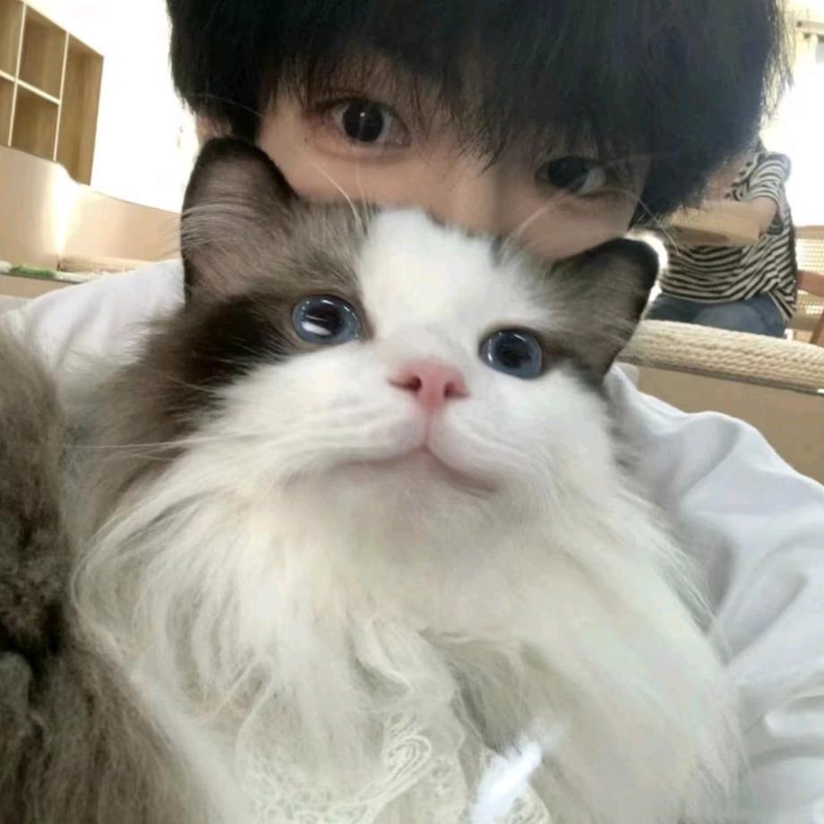 要么一生，要么陌生