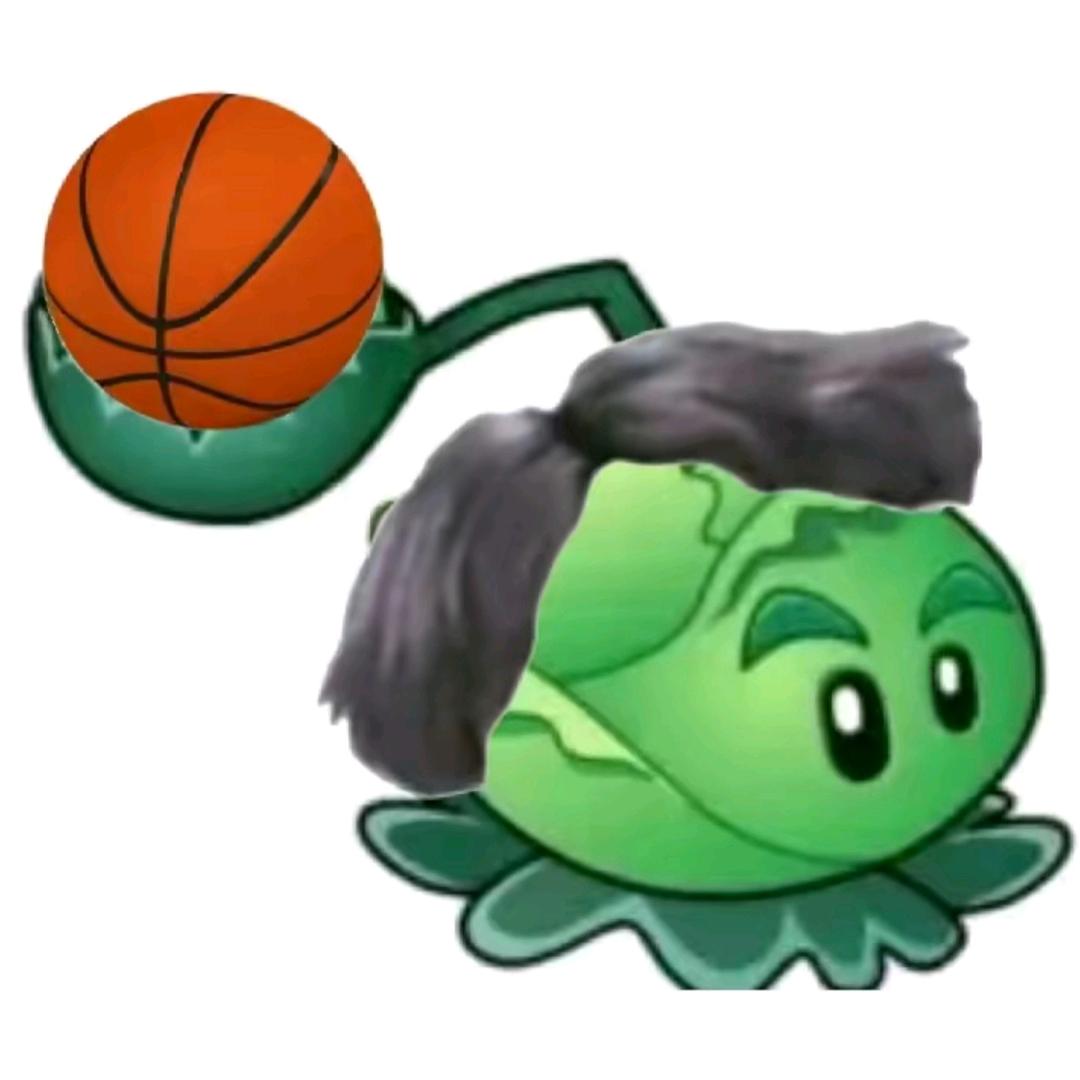 AAA毛蛋批发