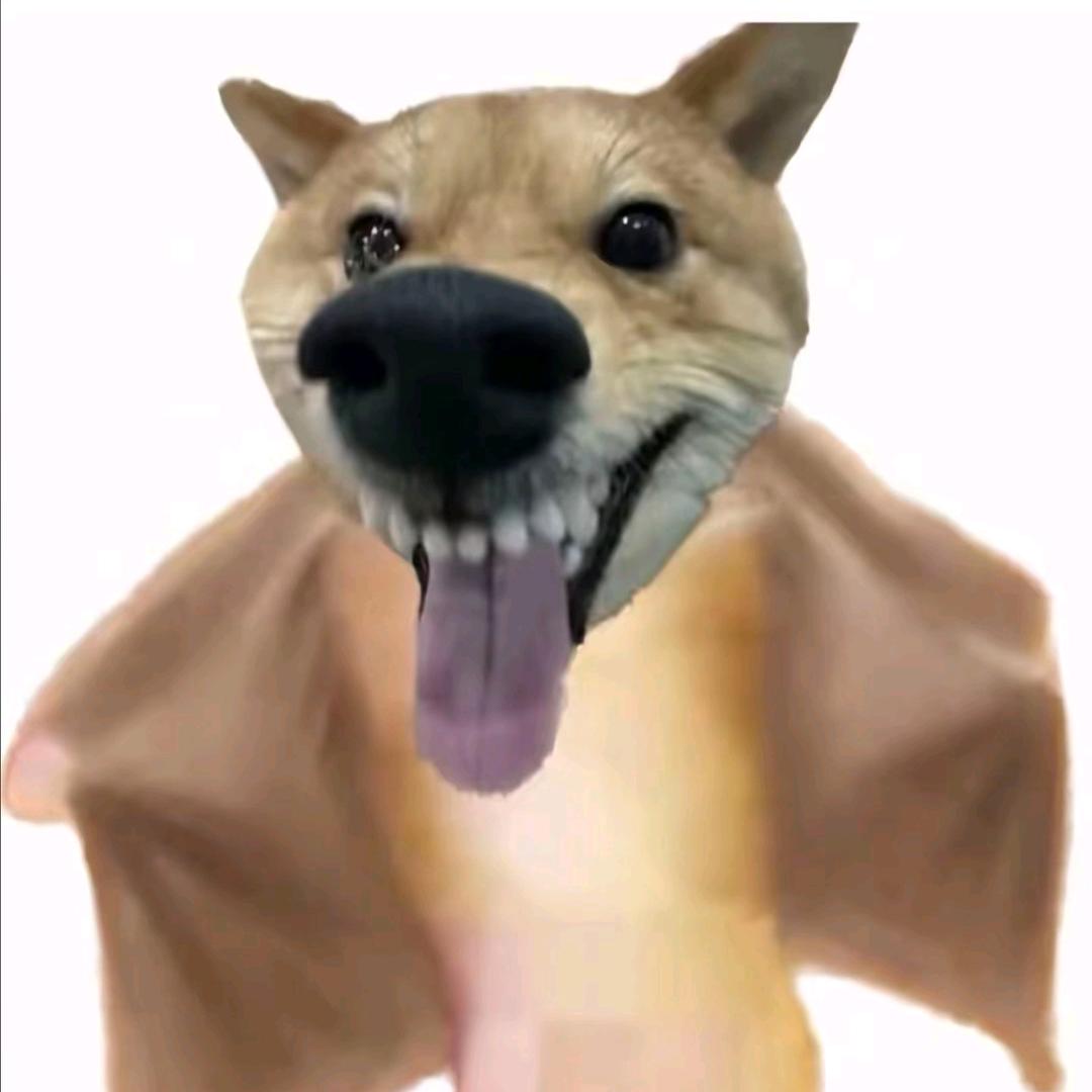 蓝金渐层可爱捏