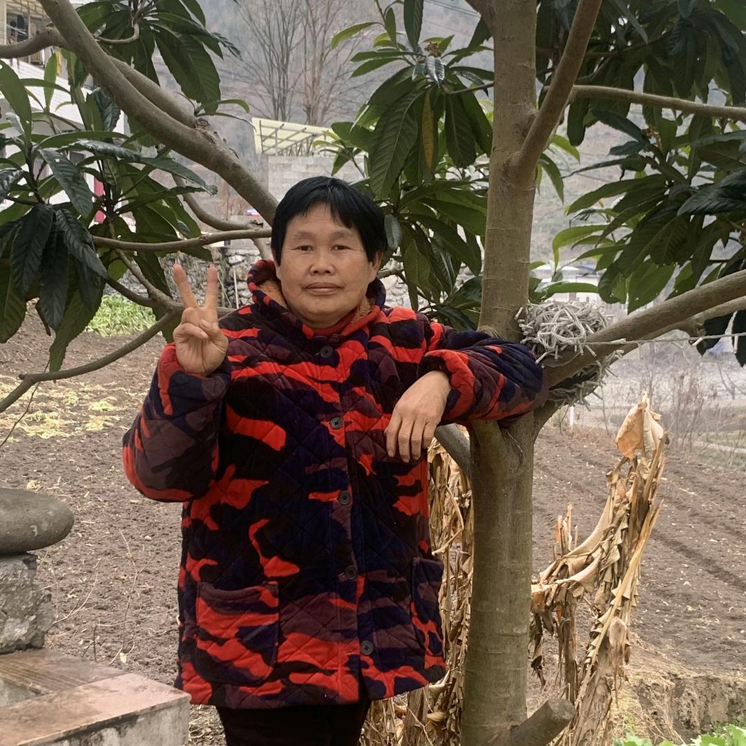 幸 福 家 庭