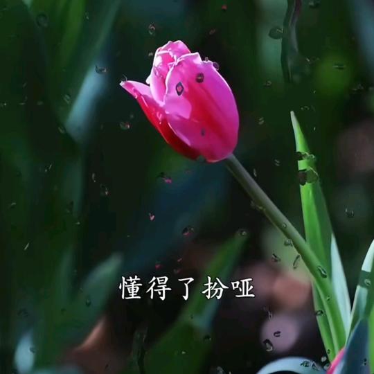 又