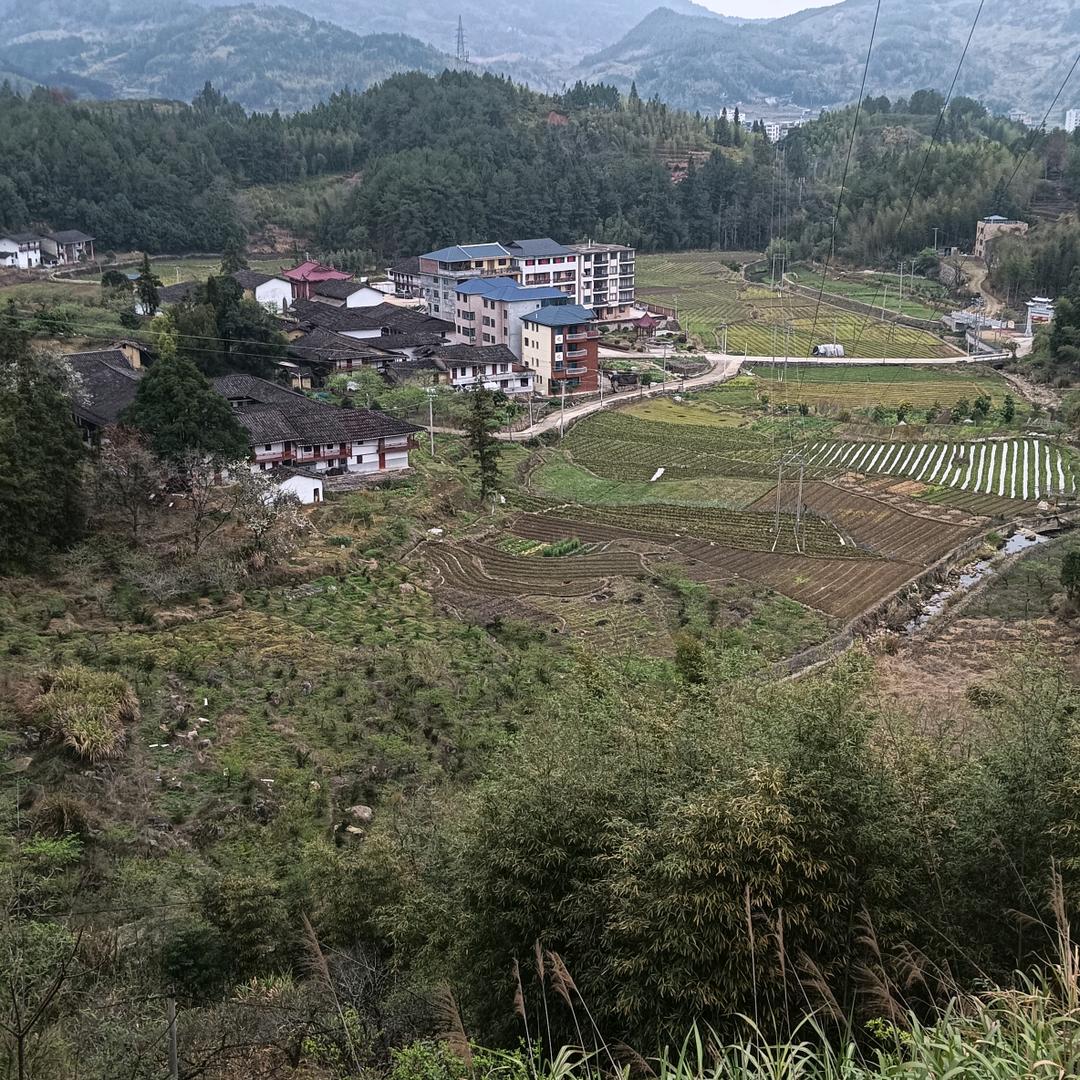 小严