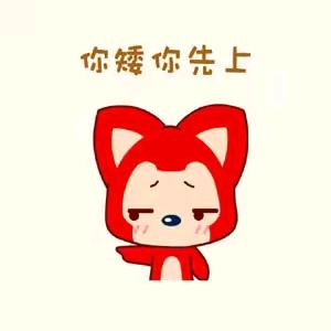 固执的阿狸