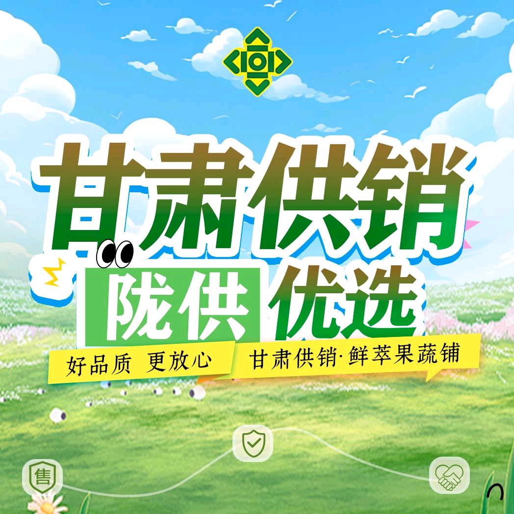 甘肃供销数科集团推荐官