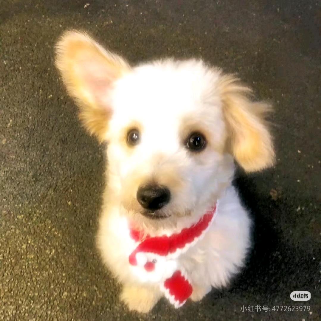 拽住时间的衣袖