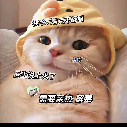 青陌离
