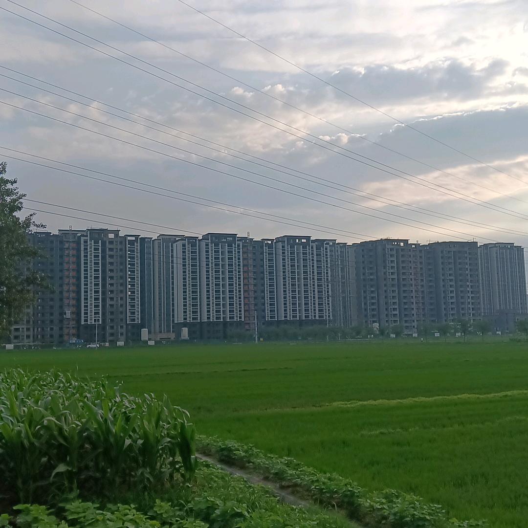 爱自己才是硬道理