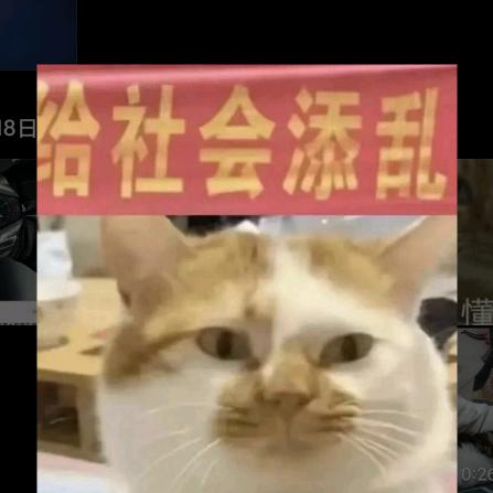 泽二绪