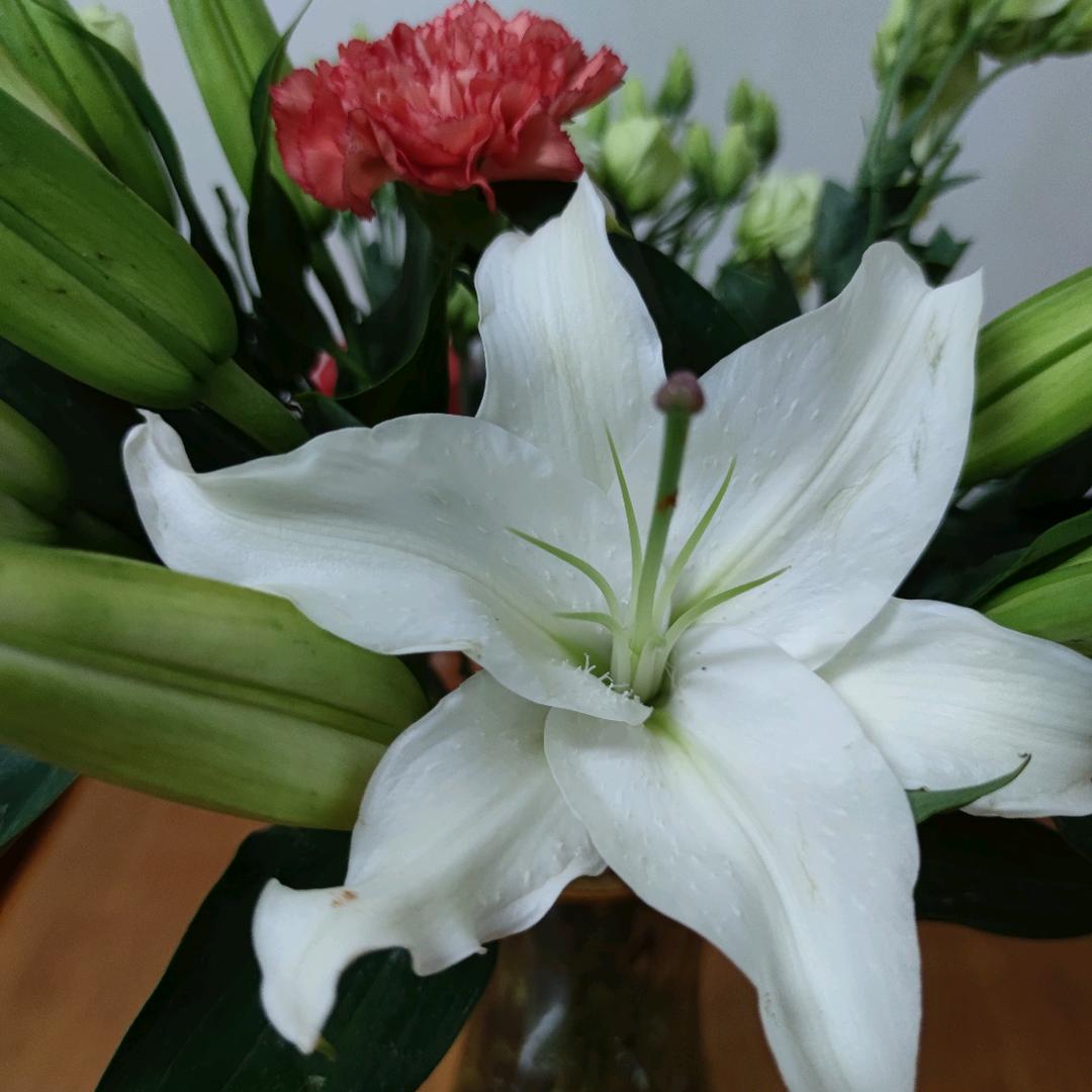 幸运草儿🍀🍀🍀