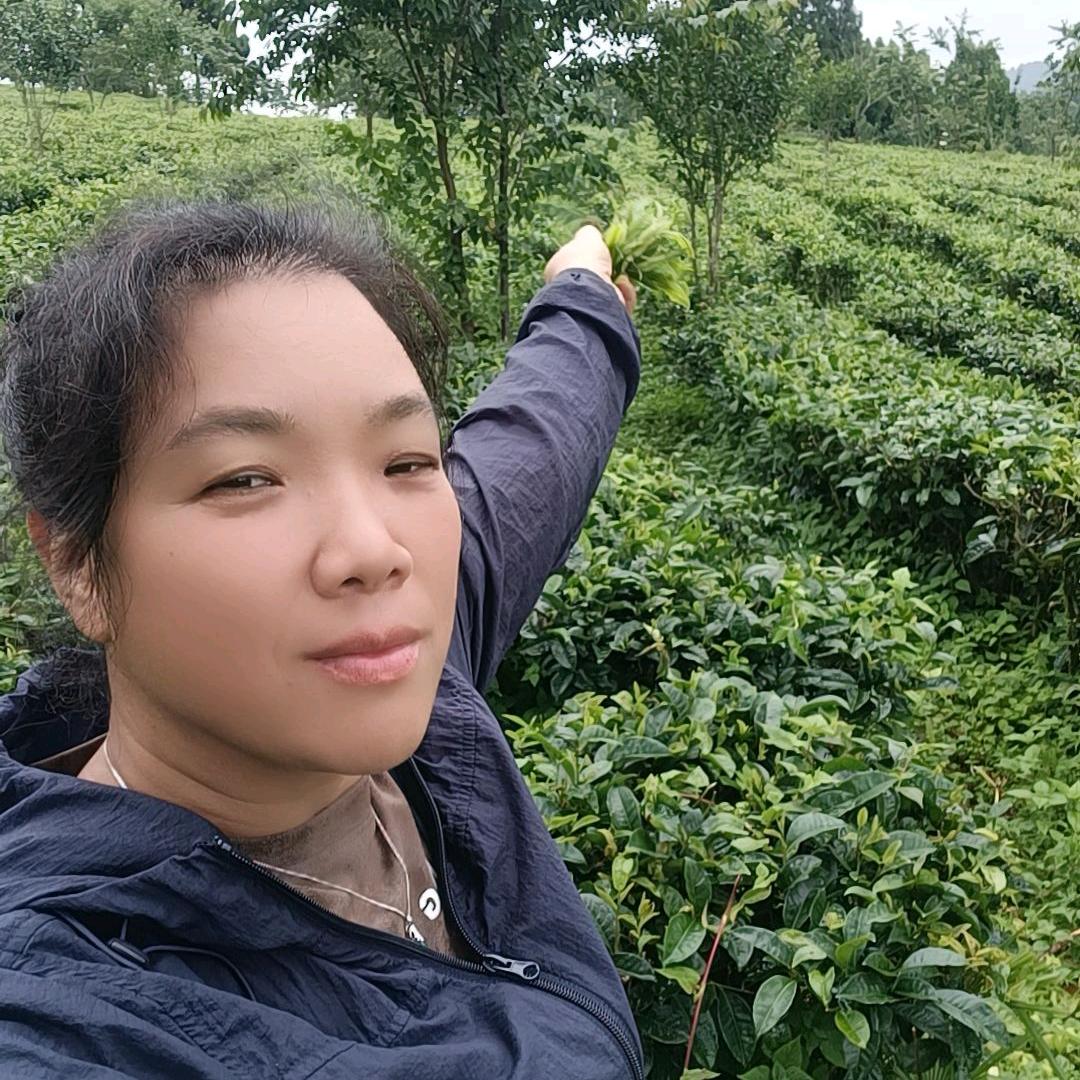 兰儿家政(保洁)