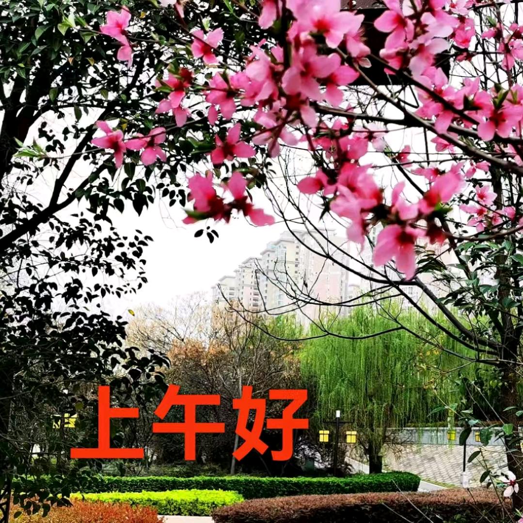 攀冀
