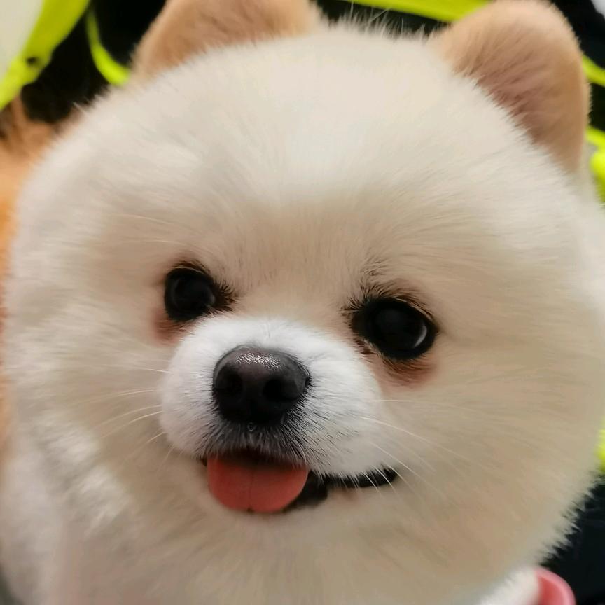 果冻冻