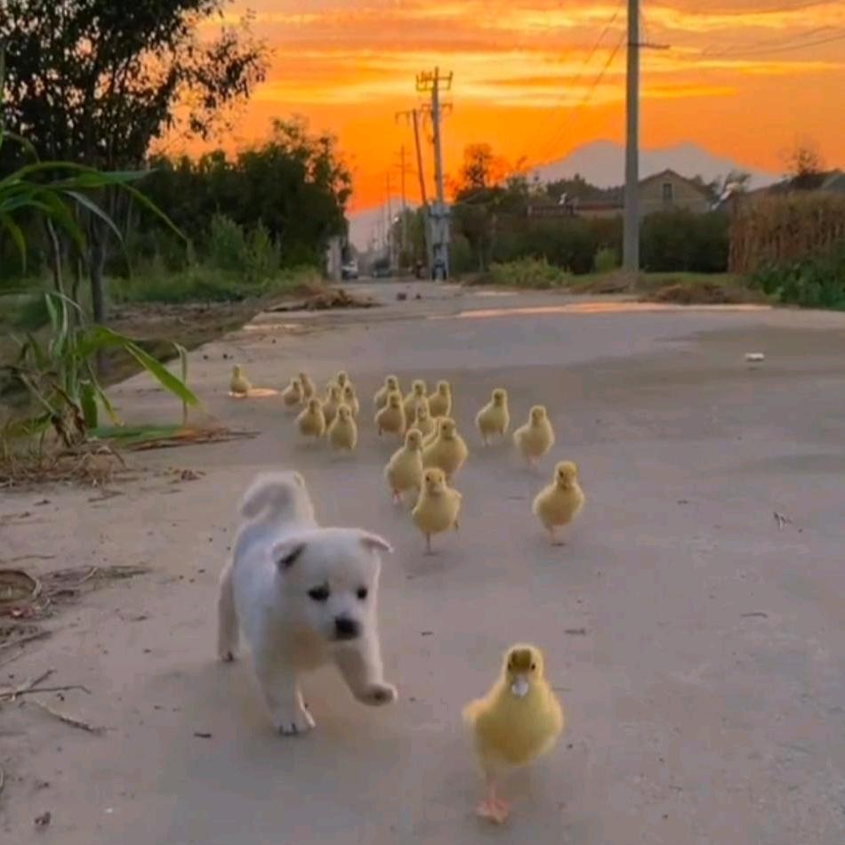 这里呀