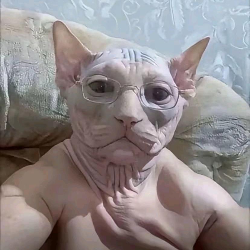 猛踹瘸子那条好腿头像