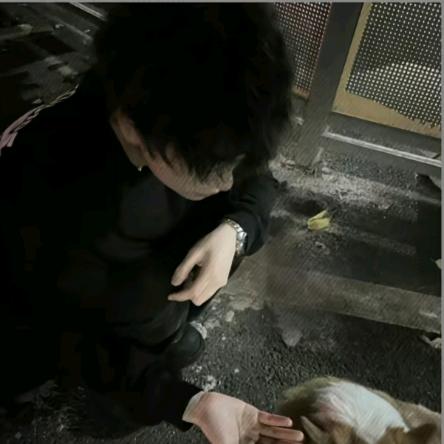 良
