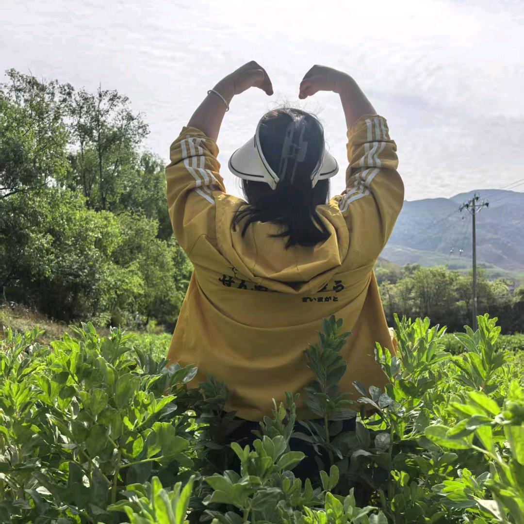 伦琼木兮沫