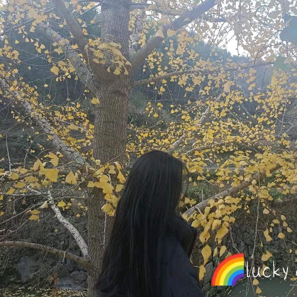 乡村小酒馆