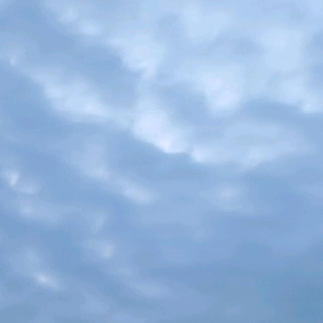 杰里不吃胡萝卜🥕