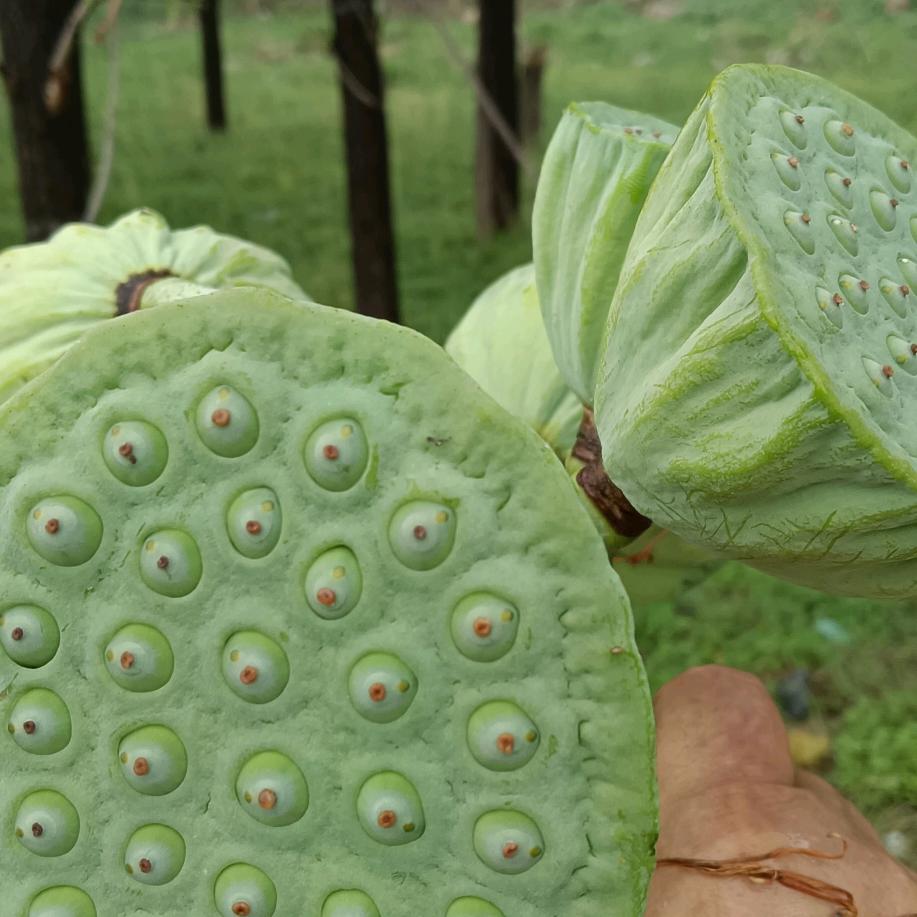 快乐大叔专业喷大门