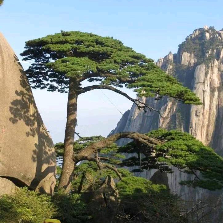 深山农村人