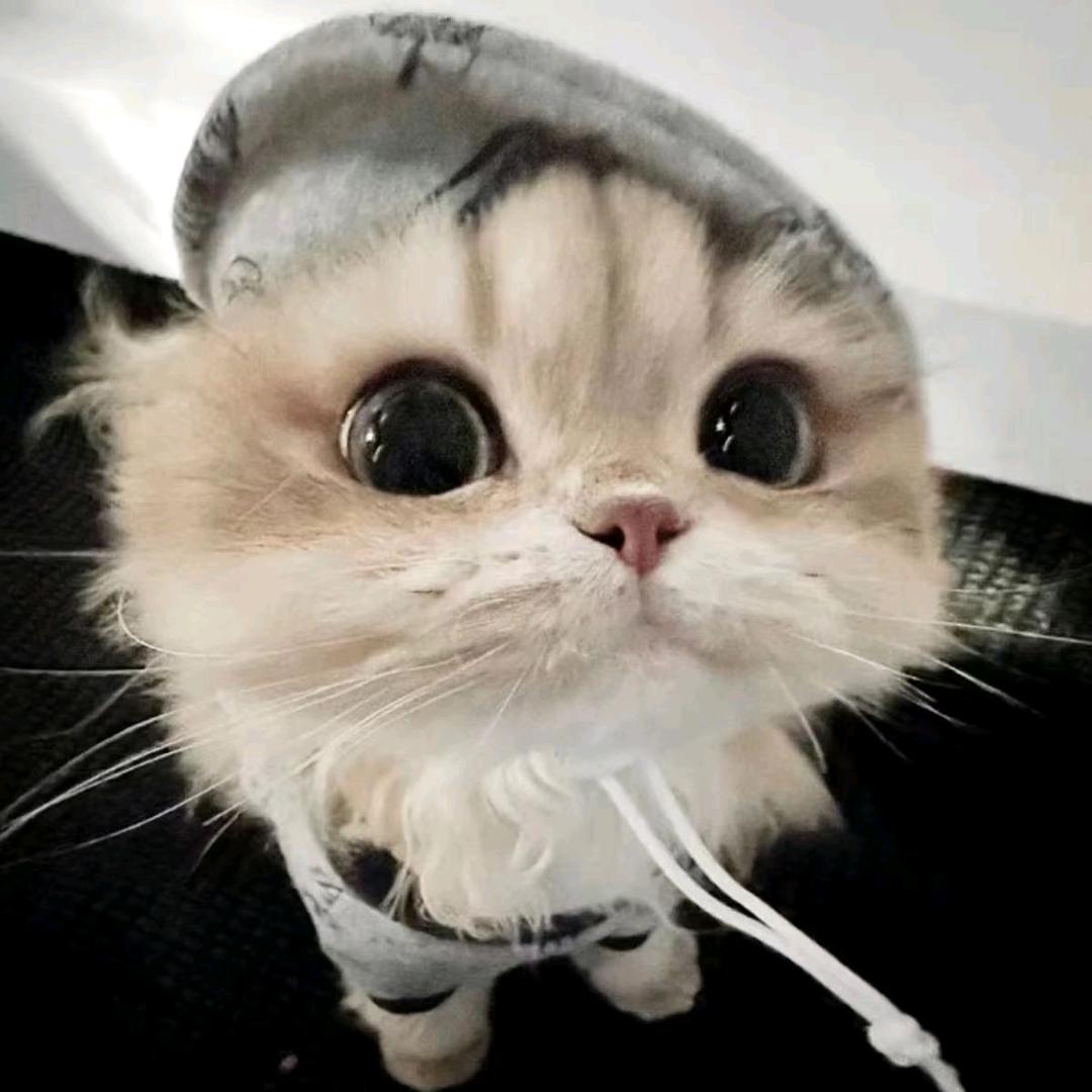 故事与远方