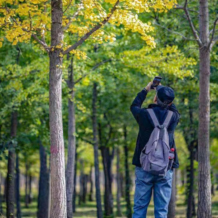 心有归期待良人