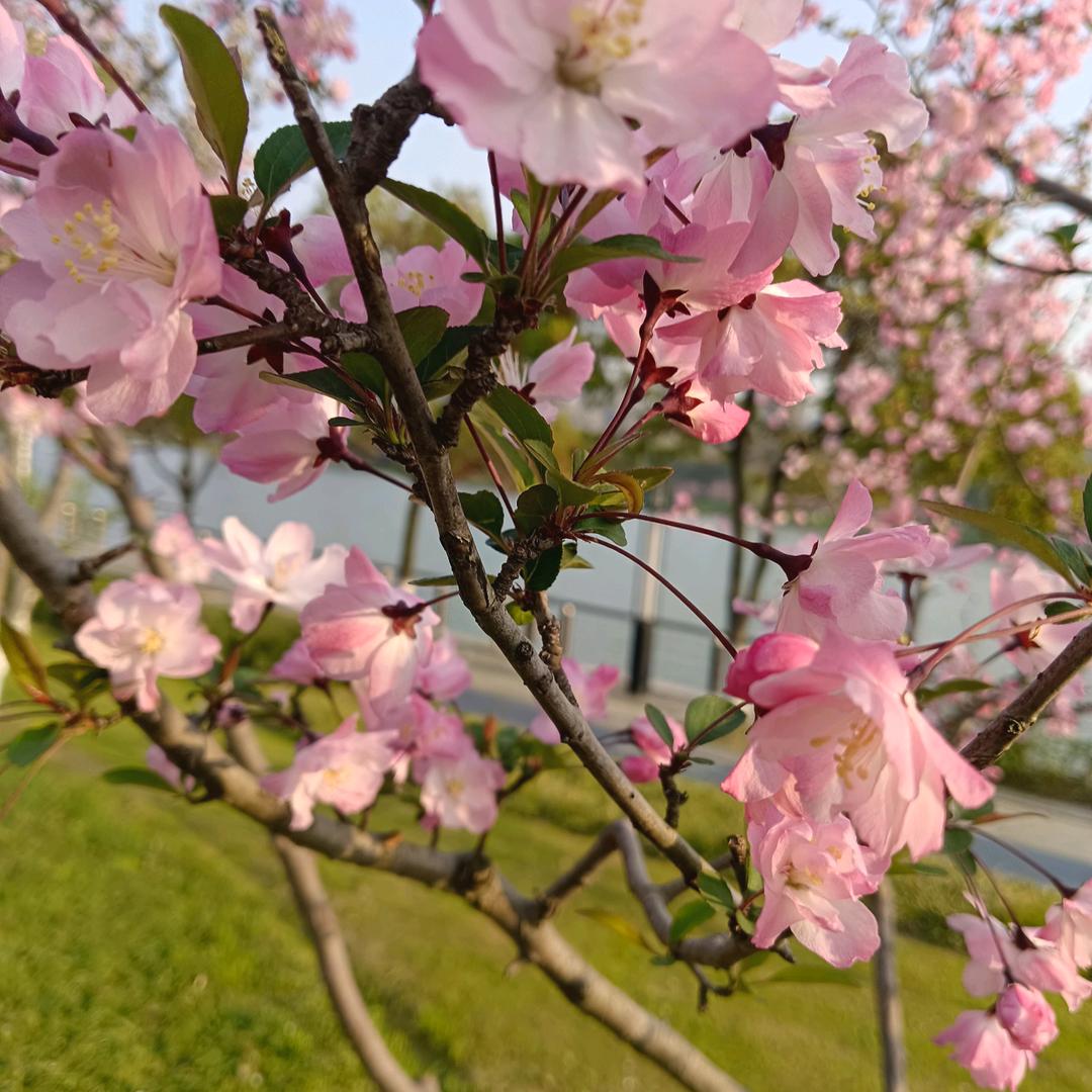 平安