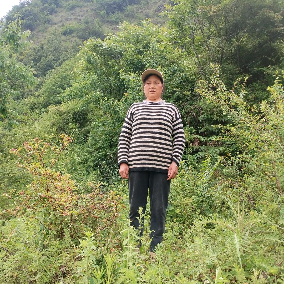 平平安安