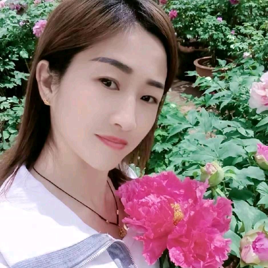 小燕子