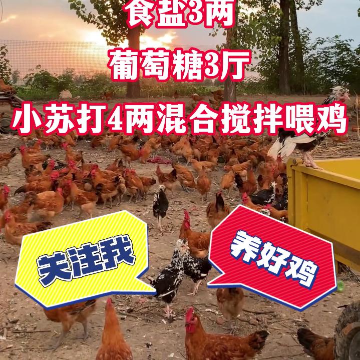 老朱养殖发家致富